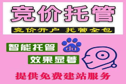 SEM运营托管案例：打造高效广告投放方案